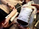 عزاداران حسيني شهرستان مراغه بيش از 162 کيسه خون اهدا کردند 