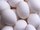 تخم‌ مرغ برای سلامت قلب مفید است 
