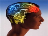  تفاوت میان مغز راست و مغز چپ چیست؟ 