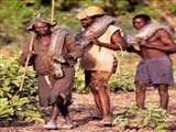 گزارش تصویری از شکار مار های پیتون توسط بوميان آفریقا 
