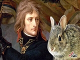  چرا خرگوش ها به کابوس ناپلئون بناپارت تبدیل شدند؟ / نگاهی به عجیب ترین معاهده تاریخ فرانسه