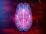  محققان به توسعه یک تراشه رایانشی شبه مغز نزدیک شدند مغز