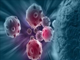  "من را نخورید"؛ پیام جدید سلول‌های سرطانی به سیستم ایمنی بدن!