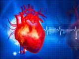  3 علامت هشدار دهنده که نشان می دهد در معرض خطر حمله قلبی قرار دارید