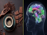  ارتباط «قهوه و شکلات» با هوش انسان 