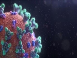 کشف "نانوبادی‌های" جدیدی که کروناویروس را خنثی می‌کنند