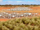 تلسکوپ رادیویی استرالیا هیچ نشانه‌ای از بیگانگان پیدا نکرد