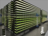 ساخت یک مزرعه عمودی در دانمارک با توان تامین همه نیاز سبزیجات کشور