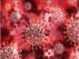  علائم کرونای جهش یافته انگلیسی / روند افزایشی گردش ویروس در کشور