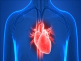 انتشار مقاله داروهای گیاهی قلب و عروق در یک مجله اروپایی
