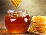 بررسی تاثیر سه نوع عسل در رشد نوعی قارچ بیماری‌زا