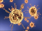  گزارش جامعه اطلاعاتی آمریکا در مورد منشأ ویروس کرونا منتشر شد