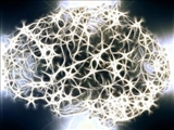کشف جدیدی در مورد ارتباط میان رشد سلول‌های مغز و ابتلا به اسکیزوفرنی