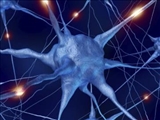 درمان موثر ام‌اس با کمک بینش جدیدی در مورد سلول‌های مغز