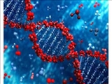 کدام تغییرات ژنتیکی کلید آغاز پیری هستند؟