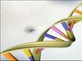 طرح جدید برای نقشه‌برداری DNA 