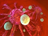 کشف راهی برای خستگی در کردن سلول‌های ایمنی!