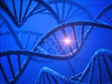 تلاش محققان برای شخصی‌سازی درمان یکی از بیماری‌های ژنتیکی کودکان
