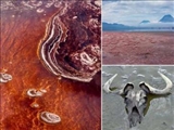 دریاچه‌ای عجیب در تانزانیا که هر موجودی را به سنگ تبدیل می‌کند