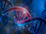 ابداع یک روش درمان ژنتیکی خاص با کمک نانوذرات