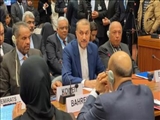  امیرعبداللهیان: بی‌عملی شورای امنیت در قبال نسل‌کشی در غزه فاجعه دیپلماسی قرن است