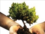 روز درختكاري و آغاز هفته منابع طبيعي تجديد شونده