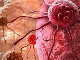  استفاده از نانو حامل دارورسان برای کاهش عوارض داروهای ضدسرطان