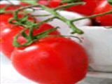 آغاز آزمایشات بالینی قرص گوجه فرنگی برای درمان آسیبهای قلبی