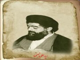 سید علی نجفی 