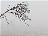 مدیرکل هواشناسی آذربایجان‌شرقی: وارونگی هوا در تبریز تا فردا وجود دارد 