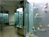 موزه ایلخانی مراغه چکیده‌ای از تاریخ 200 ساله استیلای ایلخانان 