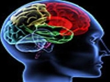 یافته‌های تازه درباره ثبت خاطرات در مغز