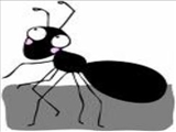 مورچه و دوستش