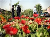شبكه فعالان ازدواج در آذربايجان شرقي راه‌اندازي شد‌ 