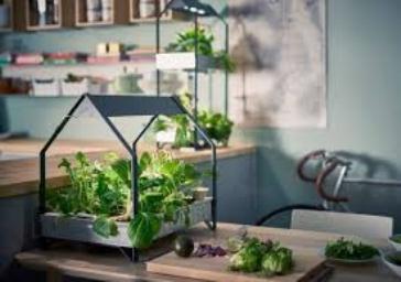 طراحی مزرعه های کوچک خانگی برای پرورش سبزیجات 