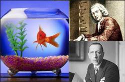 توانایی ماهی قرمز در تشخیص موسیقی کلاسیک