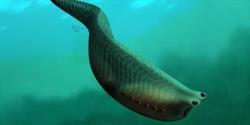 کشف ماهی با قدمت 505 میلیون سال در کانادا