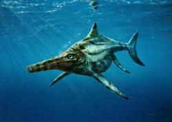 کشف فسیل تمساح ماهی متعلق به دوران ماقبل تاریخ