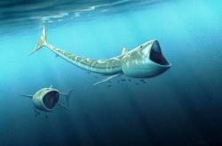 گونه‌ای از ماهی‌ها متعلق به ۹۲ میلیون سال پیش کشف شد