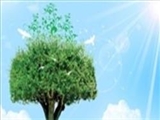 شجره طیبه 
