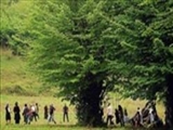 با طبیعت مهربان‌تر باشیم 