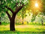 چرا ساعت ۸ و ۱۲ ثانیه سال تحویل می‌شود؟/همه چیز درباره اعتدال بهاری 