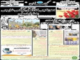 دهن‌کجی کالاهای لوکس خارجی به تولید ملی 