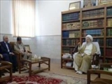  آیت الله مکارم شیرازی: حجی آبرومندانه می خواهیم/باید دور حج امسال را قلم کشید