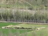 زندگی عجیب اهالی روستای ایستا در طالقان+ تصاویر 