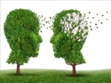 نسبی گرایی اخلاقی و شوونیسم فرهنگی