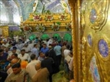 نجف اشرف در شب عید غدیر/ گل بود و گلاب و فریاد یا علی(ع)