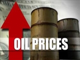 استراتژی اوپک قیمت نفت را بالا برد | نگاه‌ها به نشست وین 