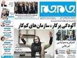 آلودگی پرکار، سازمان‌های کم‌کار 