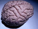  دگرگونی در علم پزشکی؛ مرمت مغز به سبکی تازه!